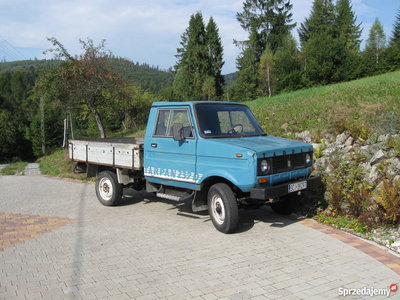 tarpan-239d-oryginal-manualna-samochody-dostawcze-slaskie-496398247.jpg