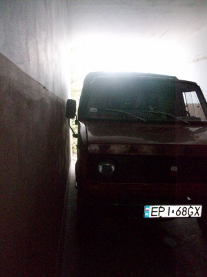 tarpan0428.JPG