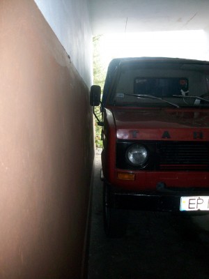 tarpan0430.JPG