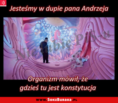 andrzej.png