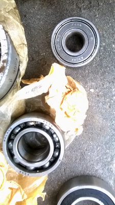 WP_20160228_007.jpg