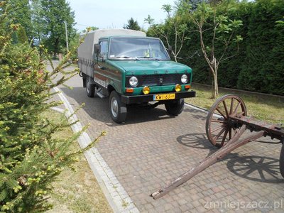 Lasy Janowskie Tarpan.JPG