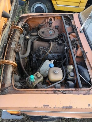 s10.jpg