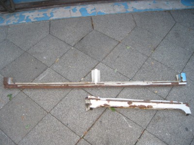 żebra 2.jpg
